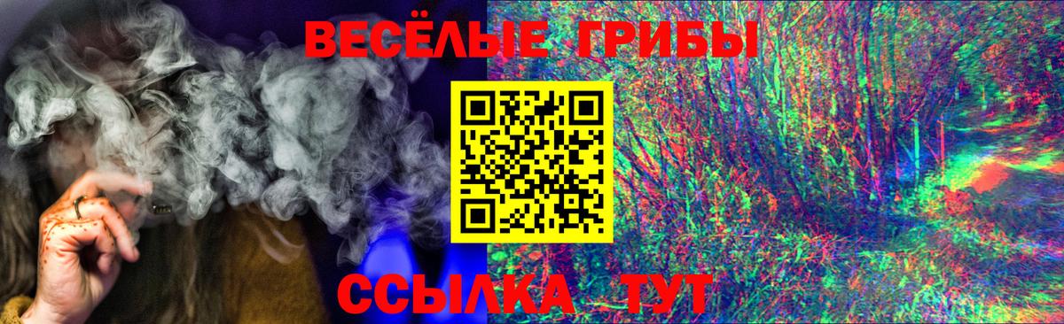 Псилоцибиновые грибы Psilocybe Симферополь